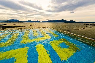 Danang Golden Bay Hotel