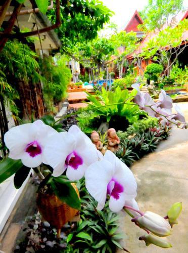 Hotel Ruenkanok Thaihouse Resort