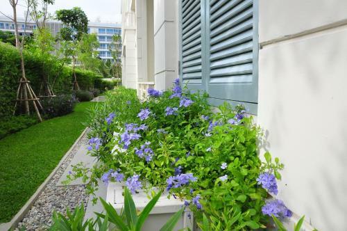 Apartamentos New Condo Hua Hin-summer