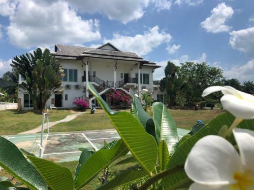 Aparthotel Nadivana Serviced Apartments