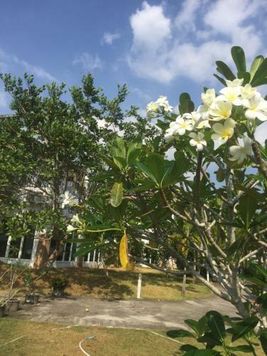 Aparthotel Nadivana Serviced Apartments