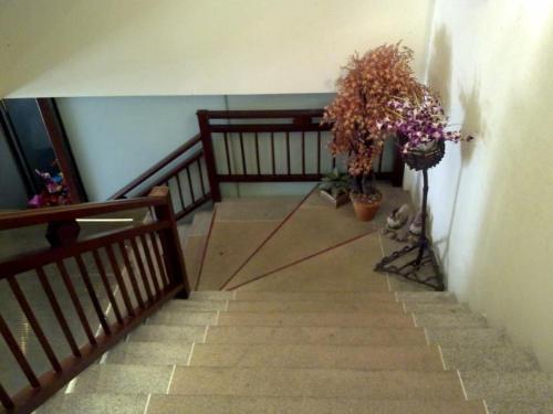 Hotel Sea Star House