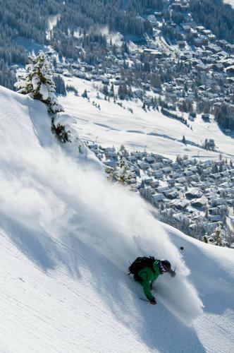 Hotel La Cord�e Des Alpes