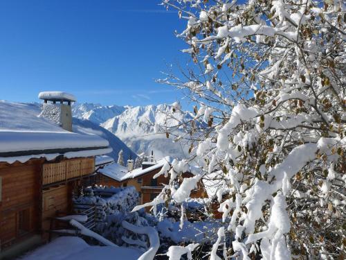 Apartment Boule De Neige Verbier