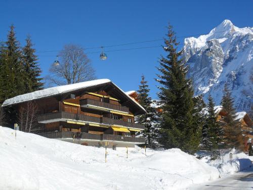 Apartment Sunny Corner Grindelwald