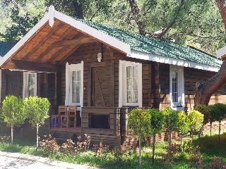 Hotel Green Pine Beach & Bungalows Luxury Concept