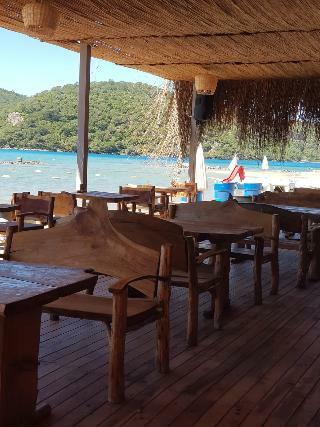 Hotel Green Pine Beach & Bungalows Luxury Concept
