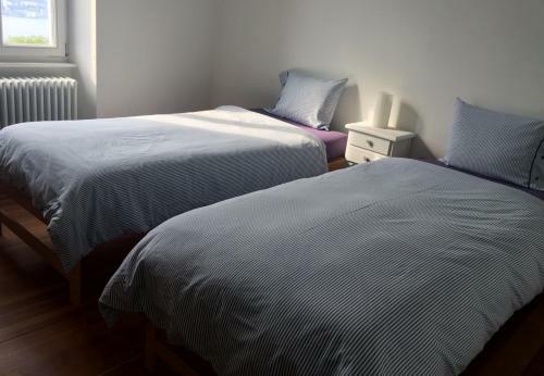 Apartamento Ca' Dogana Vegia
