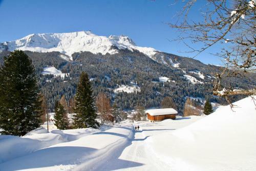 Monami Apartments Klosters, Apt. Villa Kunterbunt