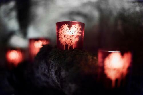 Posada Berghaus Alpenr�sli