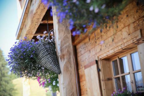 Posada Berghaus Alpenr�sli