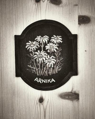 Posada Berghaus Alpenr�sli