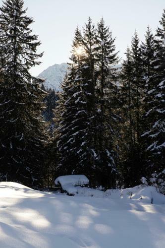 Posada Berghaus Alpenr�sli