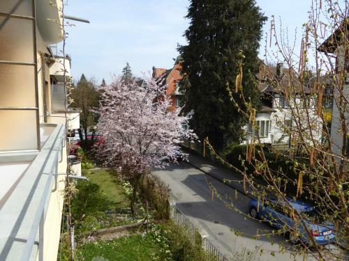 Apartamento Maison Mosgenstein