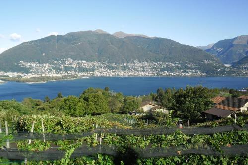 Hotel Ristorante Gambarogno