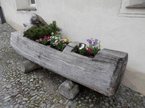 Hotel Palazzo M�sanus Samedan