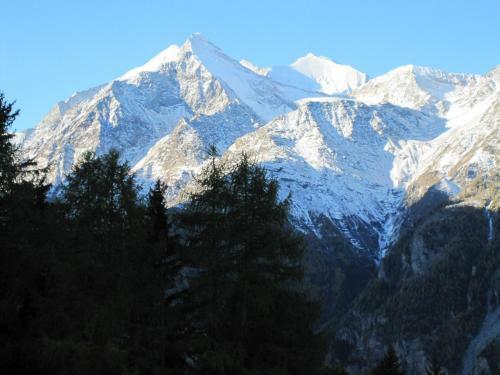 Apartamentos Waldheim