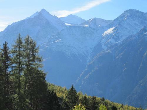 Apartamentos Waldheim