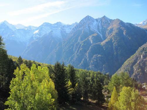 Apartamentos Waldheim