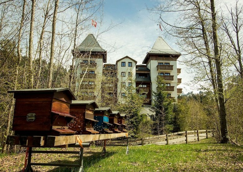 Hotel The Alpina Gstaad