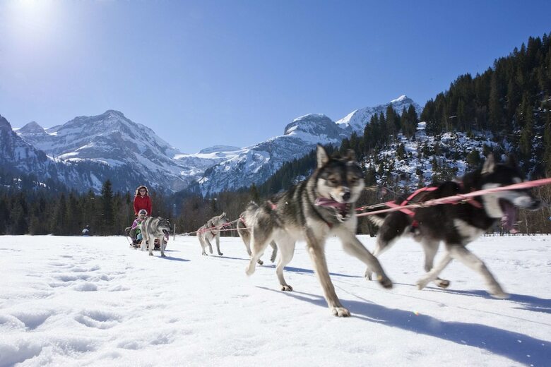 Hotel The Alpina Gstaad