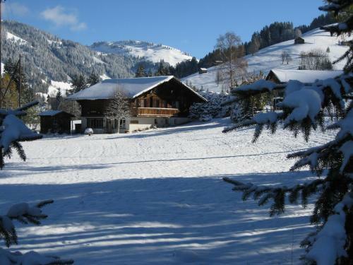 Apartamentos Chalet Nyati