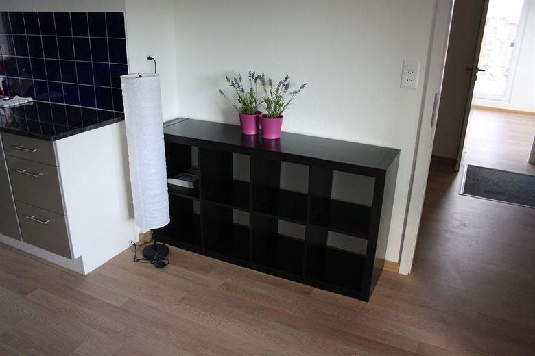 Hitrental Letzigrund - Apartment