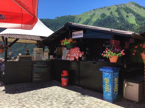 Aparthotel H�tel Des Bains D'ovronnaz