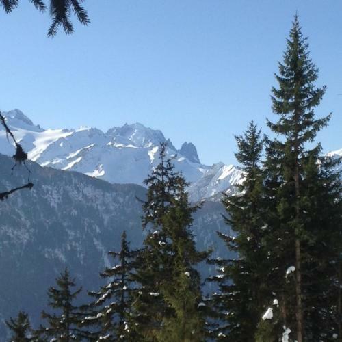 Apartamento Les Soldanelles