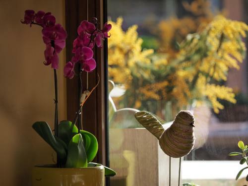 Posada Charme Hotel Ristorante T3e Terre