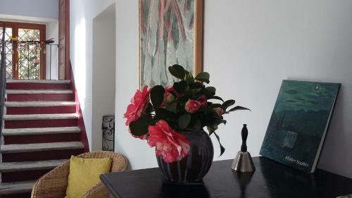 Hostal Casa Gialla