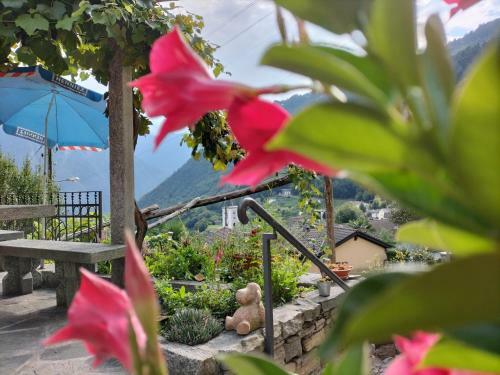 Bed & Breakfast Da Erminia