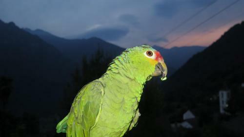 Bed & Breakfast Da Erminia