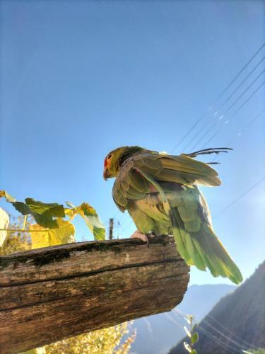 Bed & Breakfast Da Erminia