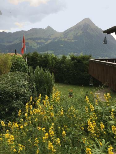 Chalet Tannegg
