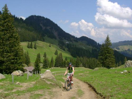 Apartamento Chalet Murmeli