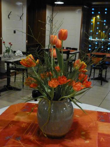 Hotel H�tel De France