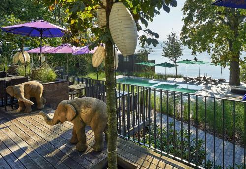 Hotel Seerose Resort & Spa