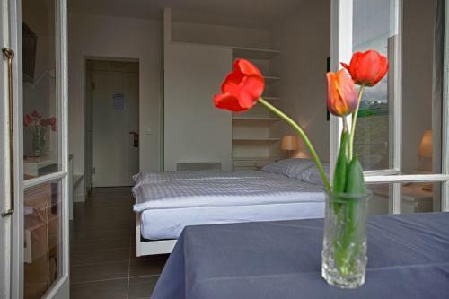 Hotel Ronco