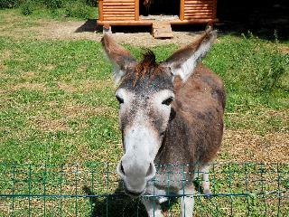 Hotel La Gran Becca - Four Bedroom