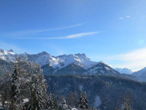 Apartment Regina C Et C Villars-sur-ollon