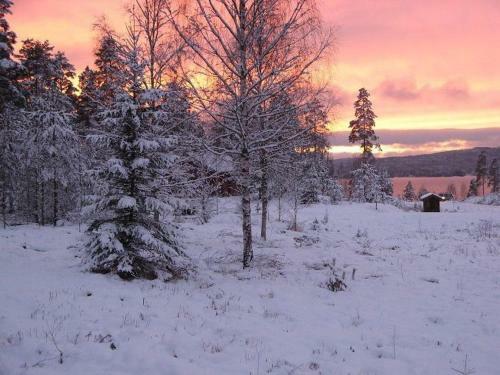 Apartamento Glafsfjordens Bed & Breakfast