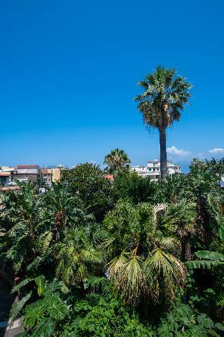 Bed & Breakfast Don Giulio Luxury Rooms