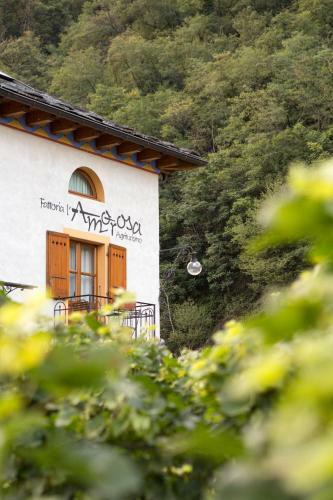 Hotel Fattoria L'amorosa