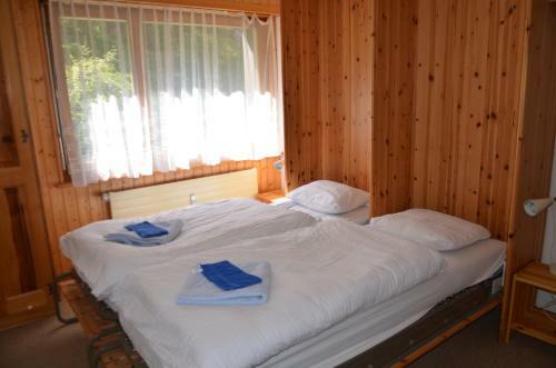 Apartamentos R�sidence Les M�l�zes