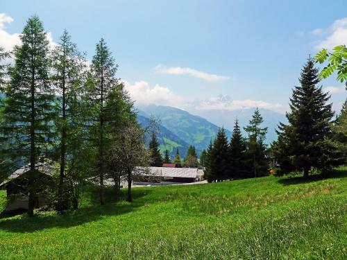 Apartamentos Les Beluardes Alpe Des Chaux