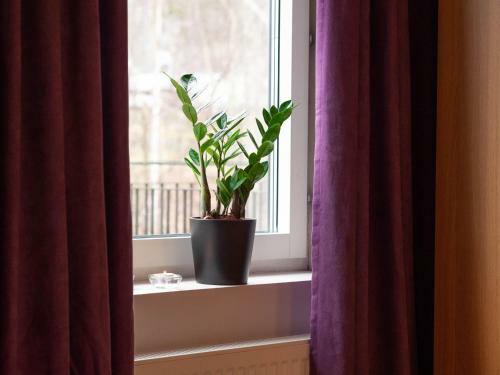 Hotel Bj�rkbackens Karakt�rshotell