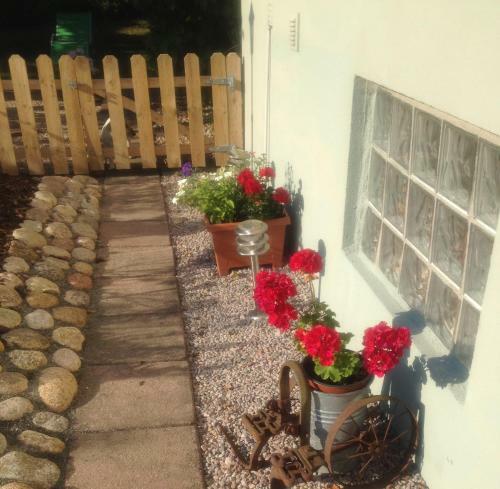 Hostal Vivans B&B