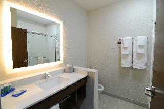 Hotel Holiday Inn Express & Suites Chicago Niles