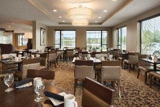 Hotel Holiday Inn Chicago - Schaumburg